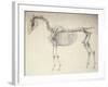 Fifth Anatomical Table, from 'The Anatomy of the Horse'-George Stubbs-Framed Giclee Print