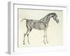 Fifth Anatomical Table, from The Anatomy of the Horse-George Stubbs-Framed Giclee Print