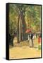 Fifth Avenue and Washington Square-Childe Hassam-Framed Stretched Canvas