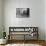 Fifth Avenue Apartment House and Residences-null-Framed Stretched Canvas displayed on a wall