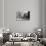 Fifth Avenue Apartment House and Residences-null-Photographic Print displayed on a wall