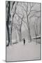 Fifth Avenue Snow, 2013-Max Ferguson-Mounted Giclee Print