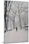 Fifth Avenue Snow, 2013-Max Ferguson-Mounted Giclee Print