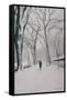 Fifth Avenue Snow, 2013-Max Ferguson-Framed Stretched Canvas