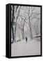 Fifth Avenue Snow, 2013-Max Ferguson-Framed Stretched Canvas