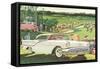 Fifties Cars on Golf Course-null-Framed Stretched Canvas