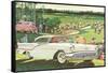 Fifties Cars on Golf Course-null-Framed Stretched Canvas