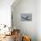 Fifties Speedboat-null-Mounted Art Print displayed on a wall