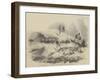 Fifty Miles an Hour on the Norwich Railway, Destruction of the Train on Christmas Eve-null-Framed Giclee Print