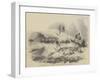 Fifty Miles an Hour on the Norwich Railway, Destruction of the Train on Christmas Eve-null-Framed Giclee Print