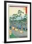 Fifty-Three Stations of the Tokaido-Ando Hiroshige-Framed Giclee Print