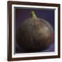 Fig in Studio-null-Framed Photographic Print