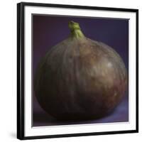 Fig in Studio-null-Framed Photographic Print