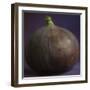 Fig in Studio-null-Framed Photographic Print