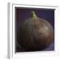 Fig in Studio-null-Framed Photographic Print