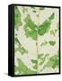 Fig leaf-Josh Westrich-Framed Stretched Canvas