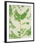 Fig leaf-Josh Westrich-Framed Photographic Print