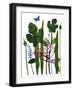 Fig leaves' mono print-Sarah Thompson-Engels-Framed Giclee Print