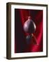 Fig on a string with segments, 2003-Norman Hollands-Framed Photographic Print