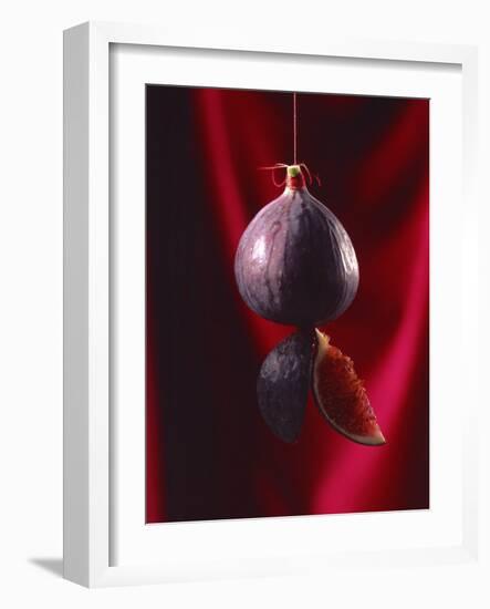 Fig on a string with segments, 2003-Norman Hollands-Framed Photographic Print