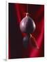 Fig on a string with segments, 2003-Norman Hollands-Framed Photographic Print