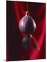 Fig on a string with segments, 2003-Norman Hollands-Mounted Photographic Print