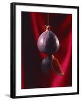 Fig on a string with segments, 2003-Norman Hollands-Framed Photographic Print