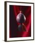 Fig on a string with segments, 2003-Norman Hollands-Framed Photographic Print