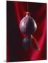 Fig on a string with segments, 2003-Norman Hollands-Mounted Photographic Print