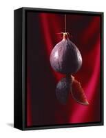Fig on a string with segments, 2003-Norman Hollands-Framed Stretched Canvas