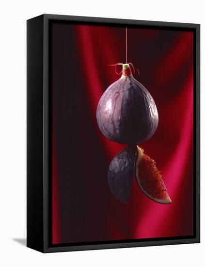 Fig on a string with segments, 2003-Norman Hollands-Framed Stretched Canvas