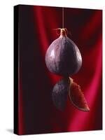 Fig on a string with segments, 2003-Norman Hollands-Stretched Canvas