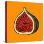 Fig on orange-Sarah Thompson-Engels-Stretched Canvas