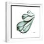 Fig Shells Down-Albert Koetsier-Framed Premium Giclee Print