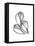 Fig Shells Xray 1-Albert Koetsier-Framed Stretched Canvas