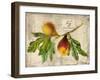 Fig-Kate Ward Thacker-Framed Giclee Print