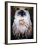 Figaro's Birthday-Claude Theberge-Framed Art Print