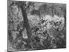 'Fight at Abracrampa', 1880-Joseph Swain-Mounted Giclee Print