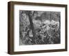 'Fight at Abracrampa', 1880-Joseph Swain-Framed Giclee Print