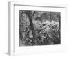 'Fight at Abracrampa', 1880-Joseph Swain-Framed Giclee Print