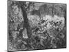 'Fight at Abracrampa', 1880-Joseph Swain-Mounted Giclee Print