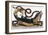 Fight between a Crocodile and a Snake - in “” General History of Insects of Surinam and of All Euro-Maria Sibylla Graff Merian-Framed Giclee Print