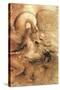 Fight Between a Dragon and a Lion, a Detail-Leonardo da Vinci-Stretched Canvas
