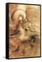 Fight Between a Dragon and a Lion, a Detail-Leonardo da Vinci-Framed Stretched Canvas