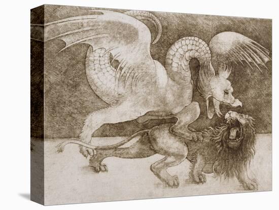 Fight Between a Dragon and a Lion-Leonardo da Vinci-Stretched Canvas