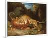 Fight Between a Lion and a Tiger, 1797-James Ward-Framed Giclee Print