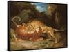 Fight Between a Lion and a Tiger, 1797-James Ward-Framed Stretched Canvas