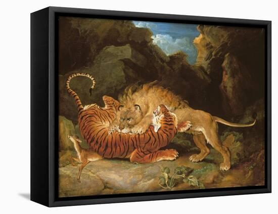 Fight Between a Lion and a Tiger, 1797-James Ward-Framed Stretched Canvas