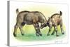 Fight Between Baby Goats or Kids (Capra Hircus)-null-Stretched Canvas