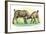 Fight Between Baby Goats or Kids (Capra Hircus)-null-Framed Giclee Print